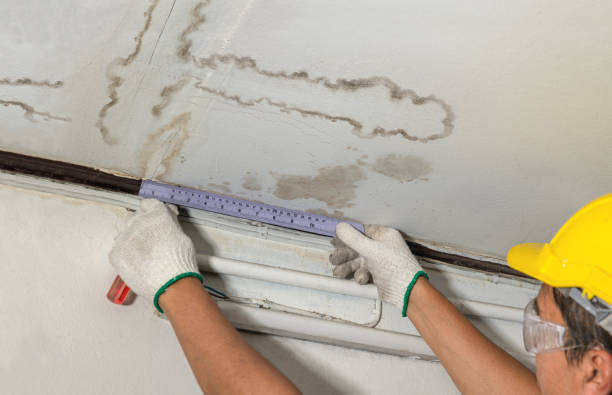 Reliable Mold Remediation contractor in Cherry Valley, MA by Water Damage Irwin